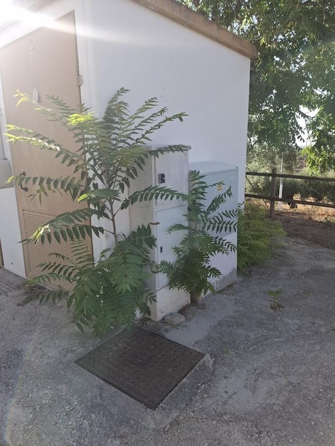 Caseta eléctrica exterior en el recinto de celebraciones de Torredonjimeno, Jaén, parte de la instalación de la línea de enlace realizada en el proyecto.