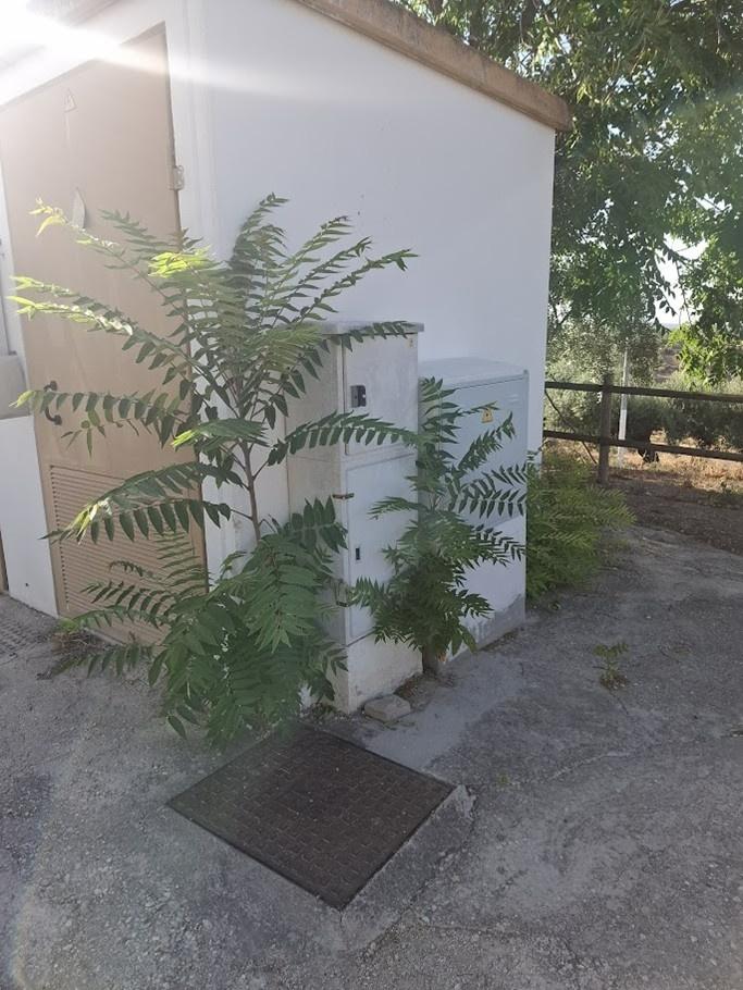 Caseta eléctrica exterior en el recinto de celebraciones de Torredonjimeno, Jaén, parte de la instalación de la línea de enlace realizada en el proyecto.